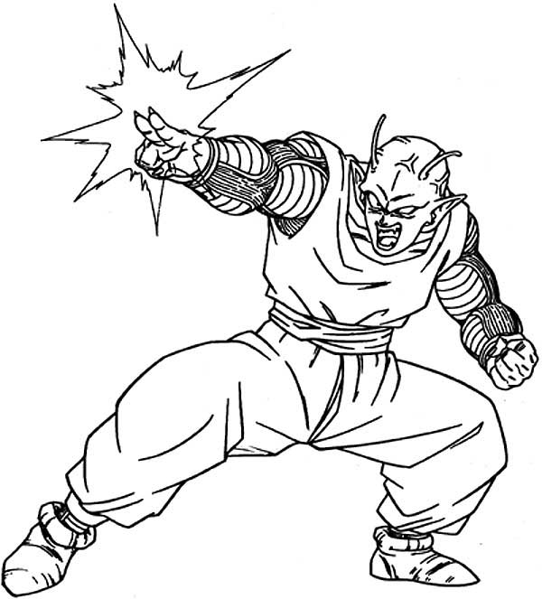 piccolo1.jpg (42173 bytes)