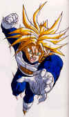 trunks_11_small.jpg (4526 bytes)