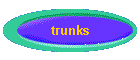 trunks